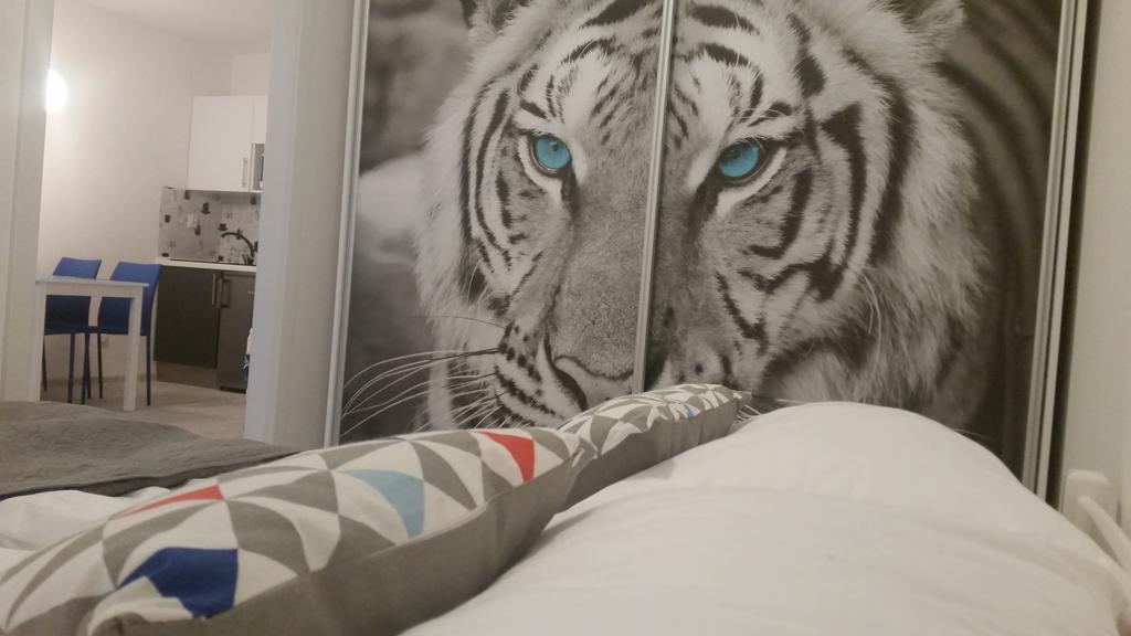 Bedroom Apartments Krzywoustego 14 슈체친 객실 사진